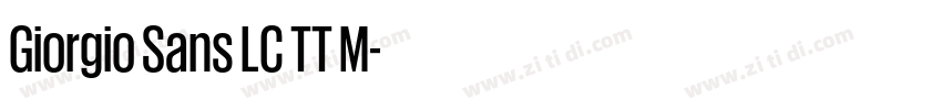 Giorgio Sans LC TT M字体转换